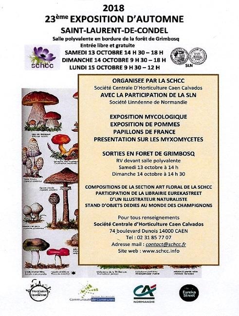 Affiche expo automne 651