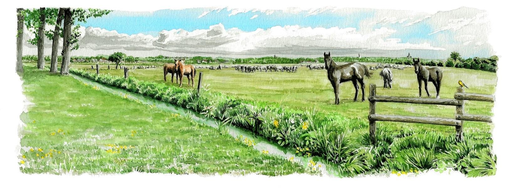 Table de paysage d'Appeville, vue l'été