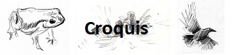 croquis