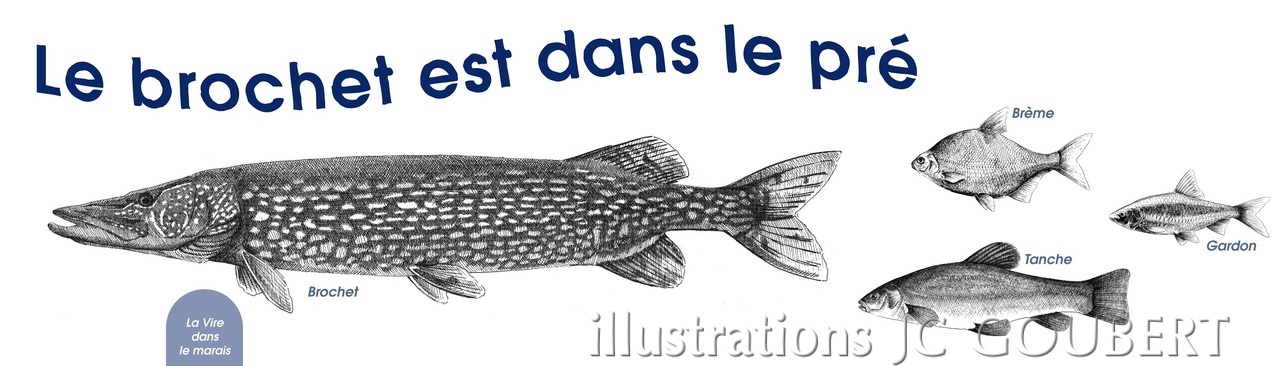 Panneau la Vire dans les marais