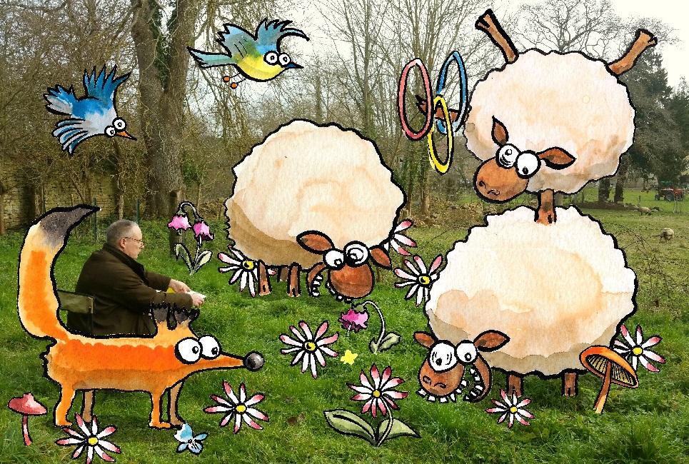 Champs moutons 650