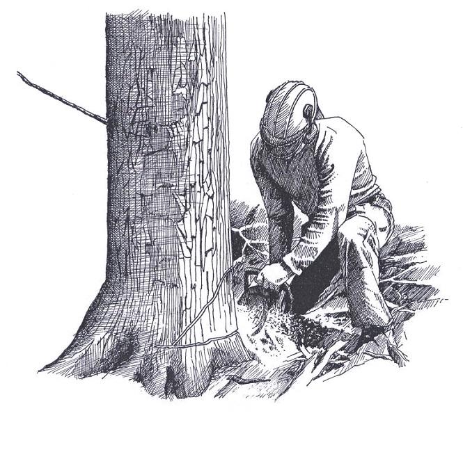 Bûcheronnage