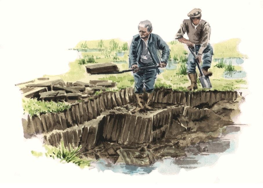 Extraction de la tourbe