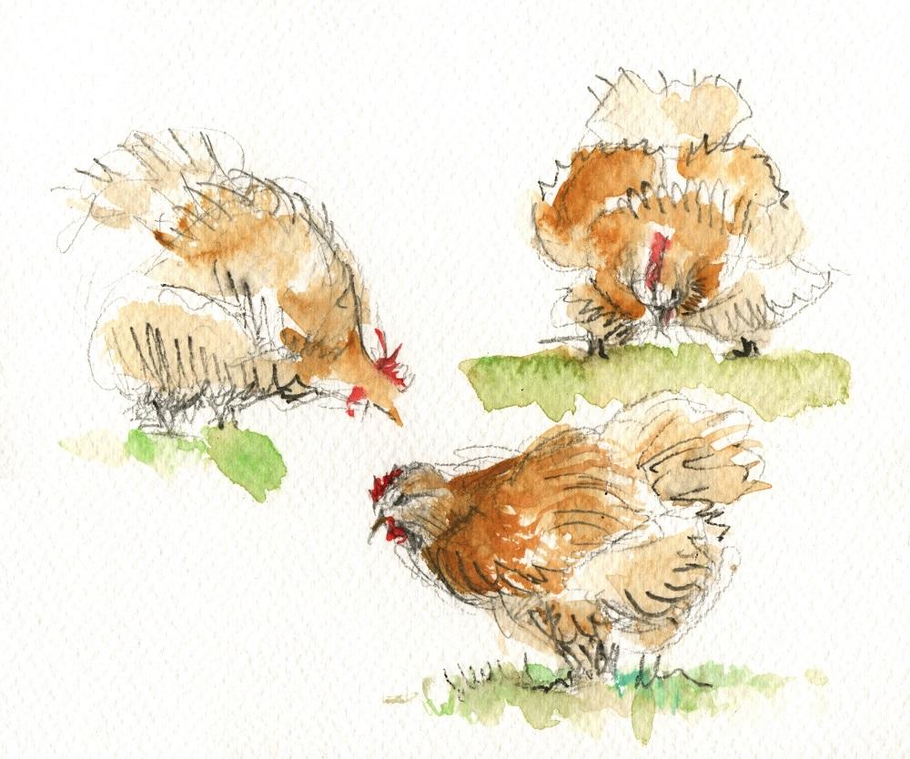 La poule rousse