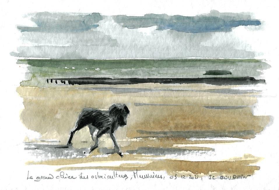 Le grand chien des ostréiculteurs