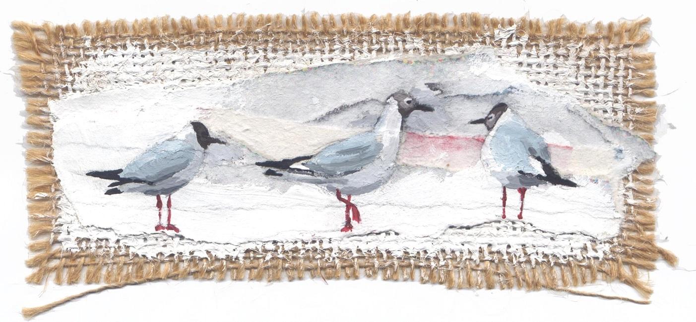 Mouettes rieuses