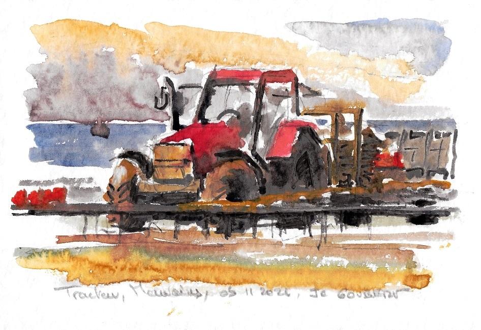 Le tracteur dans les parcs à huîtres