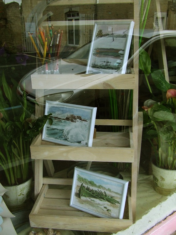 Vitrine aquarelles bord de mer